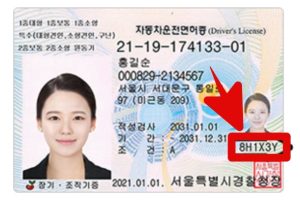  운전면허증 진위여부 조회 방법 